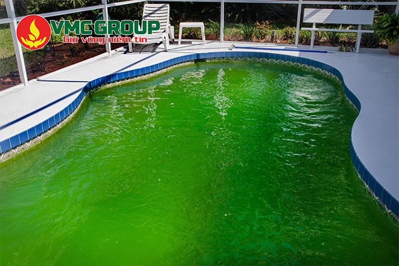 Sử dụng hóa chất bể bơi Hà Nội để xử lý nước hồ bơi bị ô nhiễm