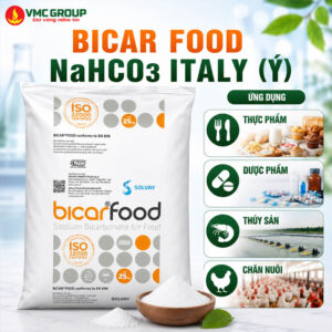 BICAR FOOD HÀNG SOLVAY (Ý) - SODIUM BICARBONATE (NAHCO3)