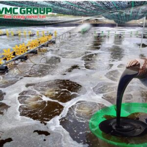 ỨNG DỤNG CỦA RỈ MẬT TRONG NUÔI VI SINH XỬ LÝ NƯỚC THẢI VÀ AO NUÔI THỦY SẢN