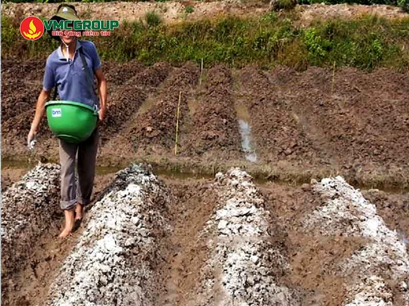 Vôi bột VMC dùng trong cải tạo đất