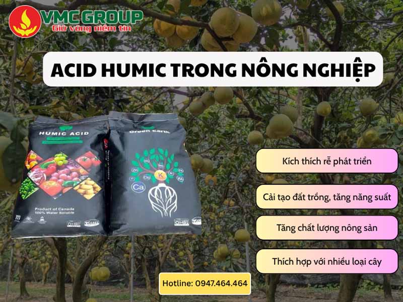 Tìm hiểu về Acid Humic