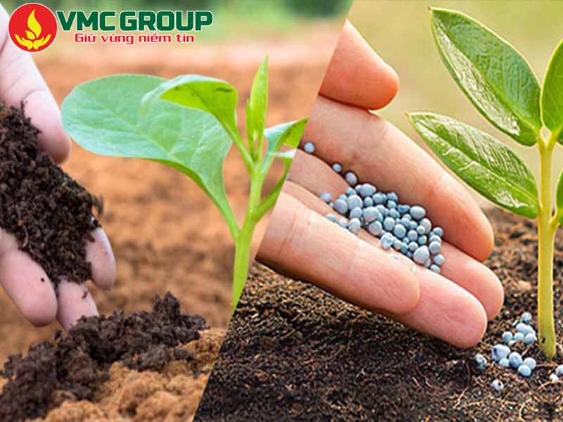 Hướng dẫn cách sử dụng Acid Humic hiệu quả