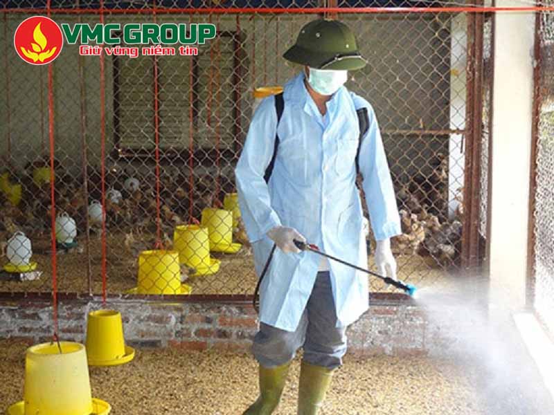 Chloramin B phun sát trùng chuồng trại để ngăn chặn dịch bệnh