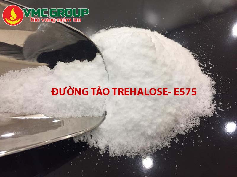 Giới thiệu tổng quan về đường tảo Trehalose