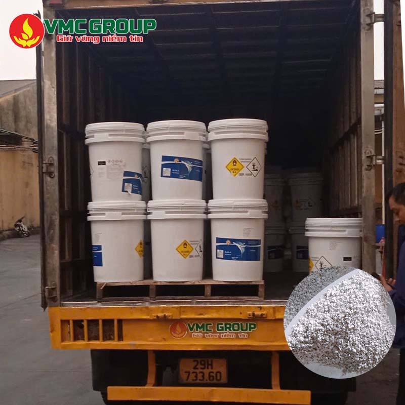 Tìm hiểu về Chlorine cá heo