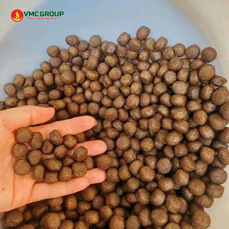 Dịch cá dùng trong thức ăn chăn nuôi