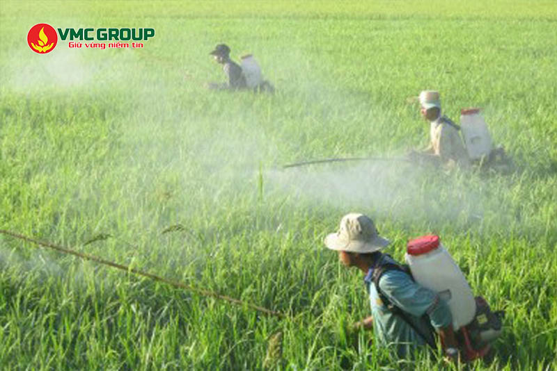 Sodium Fluorosilicate dùng trong sản xuất thuốc trừ sâu