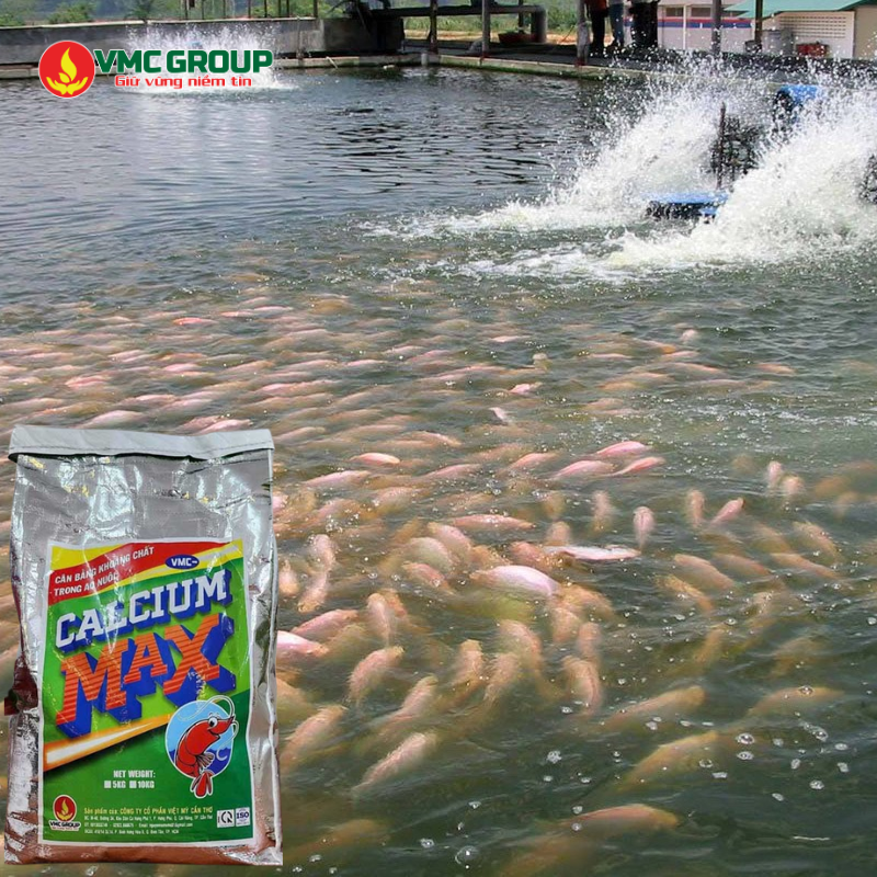 Giá calcium max thủy sản