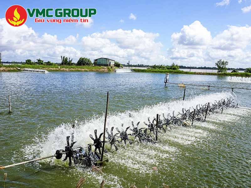 Zeo bột khử khí độc trong ao nuôi thủy sản