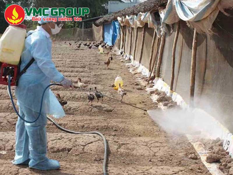 Hướng dẫn sử dụng Glutaraldehyde trong khử trùng