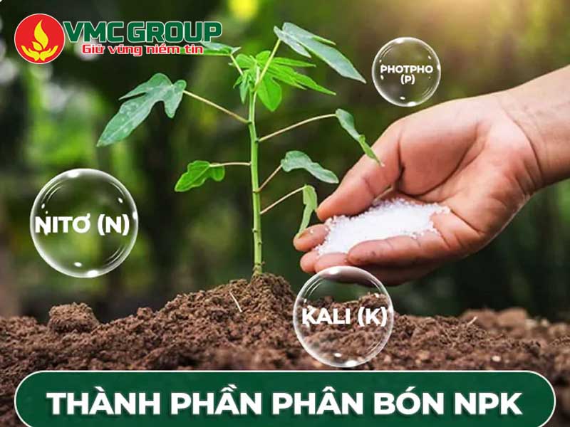 Ứng dụng của H3PO4 trong sản xuất phân bón