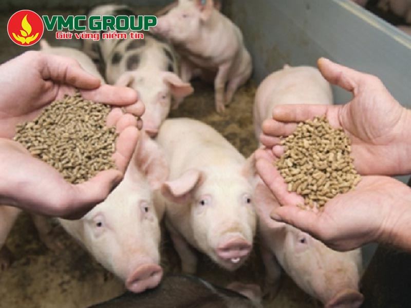 Sodium Diaceate trong công nghiệp- sản xuất thức ăn chăn nuôi