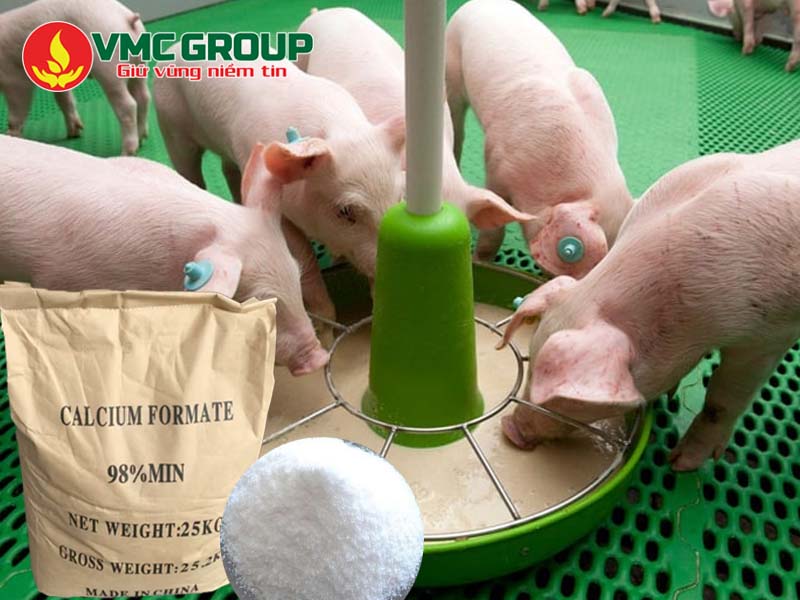 Giới thiệu về Calcium Formate và ứng dụng nổi bật
