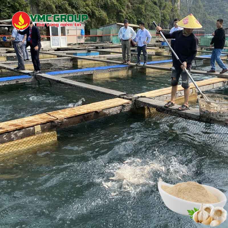 Giá bột tỏi thủy sản