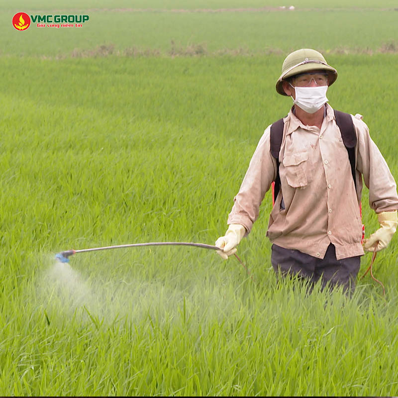 Chitosan dùng trong nông nghiệp