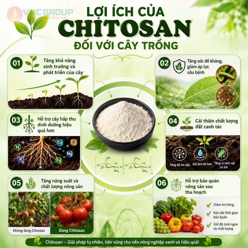 Lợi ích của Chitosan cho cây trồng