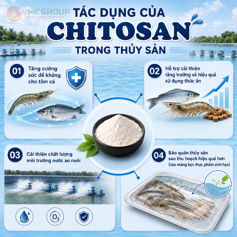 Tác dụng của Chitosan trong thủy sản