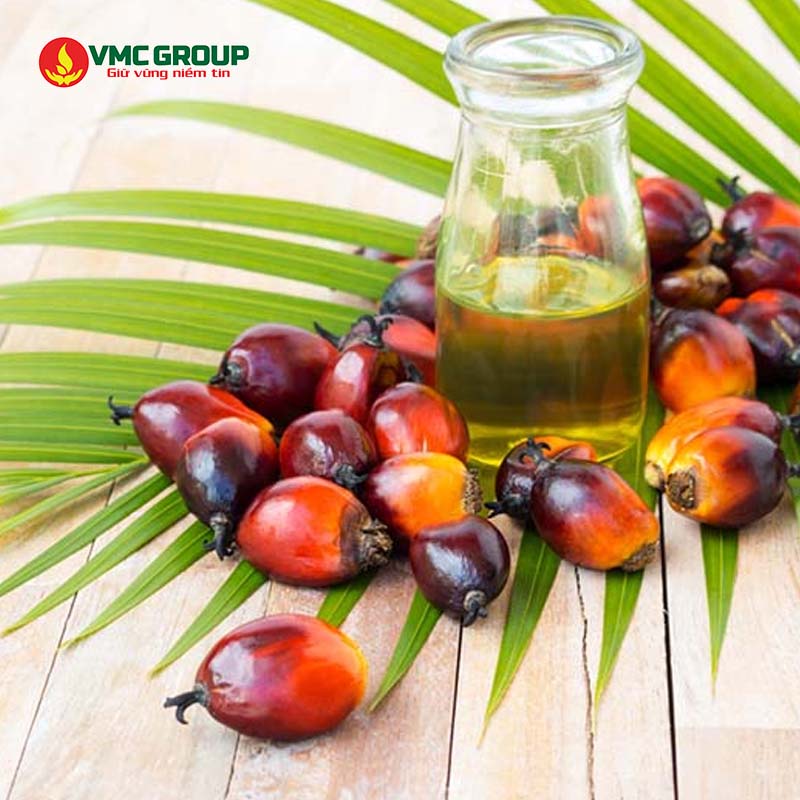 Tiêu chí mua dầu cọ