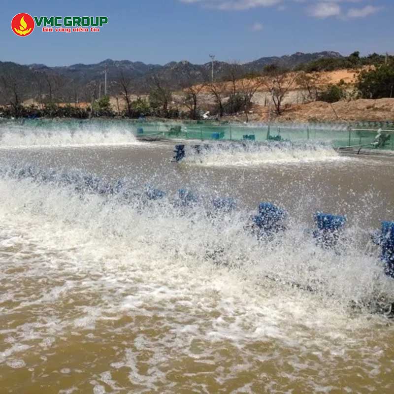 Bentonite dùng xử lý nước thủy sản