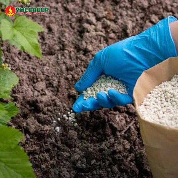 Bentonite trong sản xuất phân bón